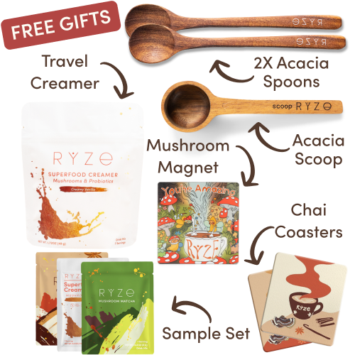 Mushroom hot cocoa, acacia spoon and scoop, coasters, and mushroom magnet with text labels.