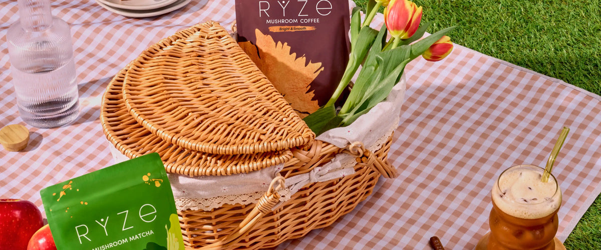 Reishi Mushroom Benefits for Skin