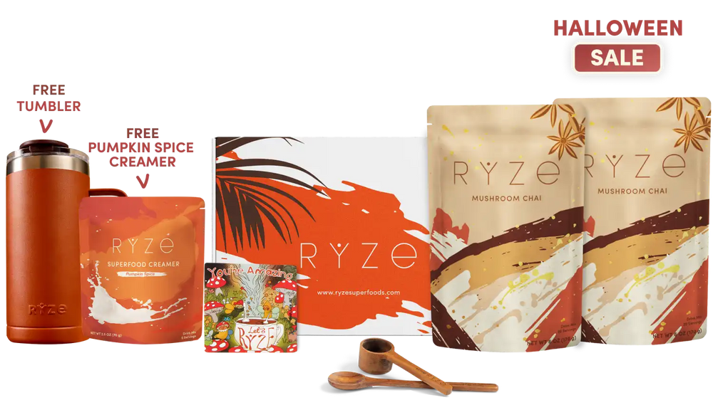 English.halloween.sale.sale.sale.website.mushroom-chai-starter-kit-40-servings_compressed.webp