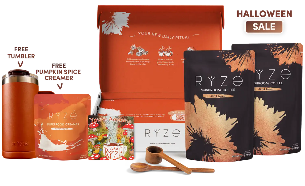 English.halloween.sale.sale.sale.website.mushroom-coffee-dark-roast-starter-kit-60-servings_compressed.webp