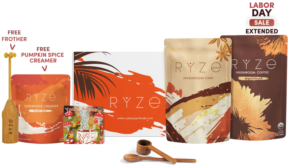 Boosted Chai Latte Bundle (Chai + Coffee)