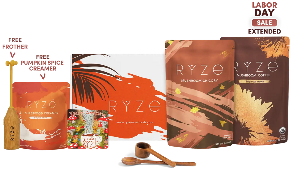 Lasting Energy Bundle (Chicory + Coffee)