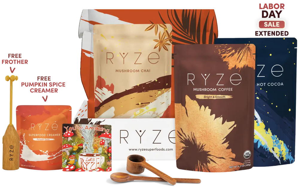 Ultimate Elevate + Unwind Bundle (Chai + Coffee + Cocoa)